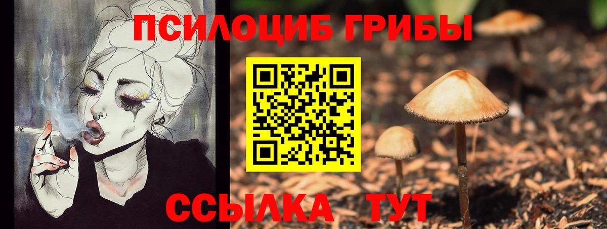 Галлюциногенные грибы Psilocybine cubensis  Галлюциногенные грибы MAGIC MUSHROOMS  Вход с VPN  Белебей 
